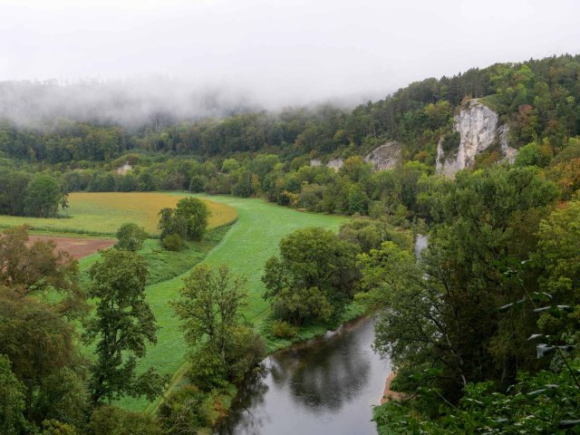 Sigmaringen10