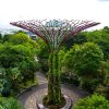 Singapur3