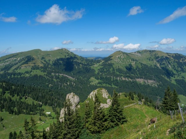 Siplingerkopf12