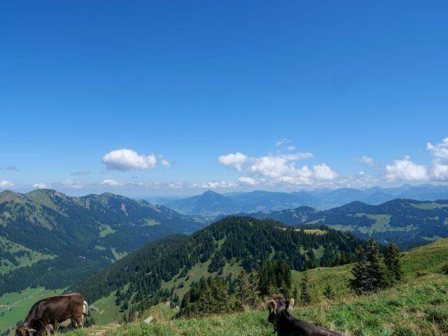Siplingerkopf13