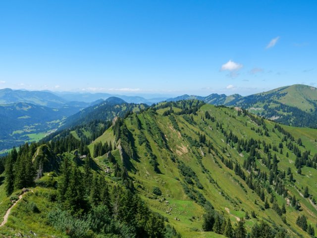 Siplingerkopf16