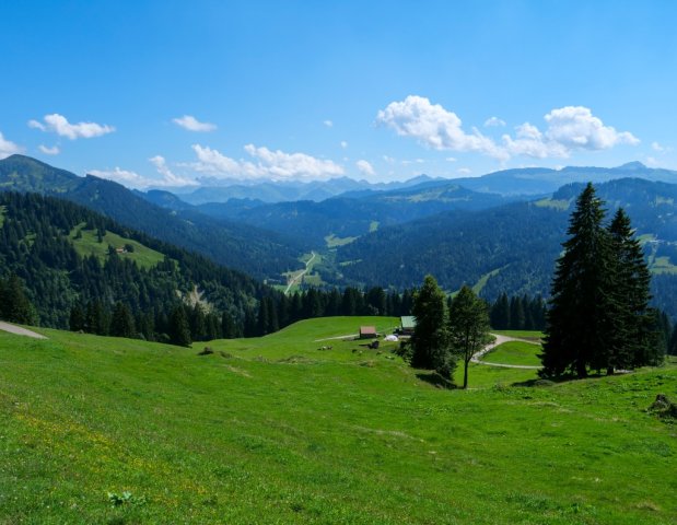 Siplingerkopf22