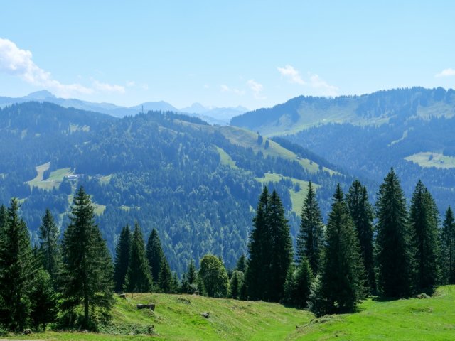 Siplingerkopf23