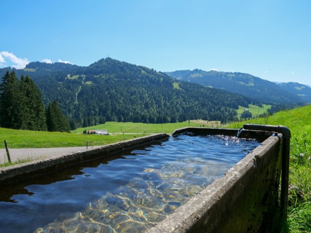 Siplingerkopf24