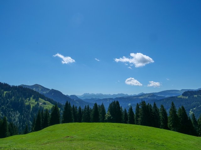 Siplingerkopf3