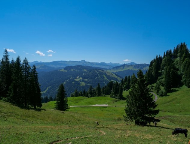 Siplingerkopf5