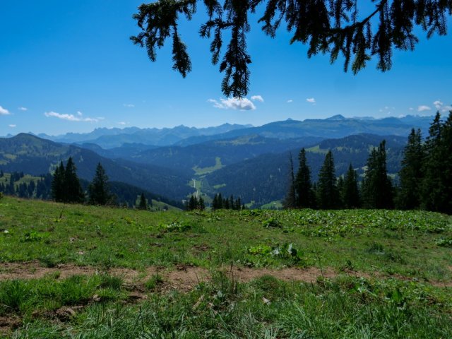 Siplingerkopf9