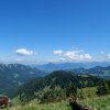 Siplingerkopf13
