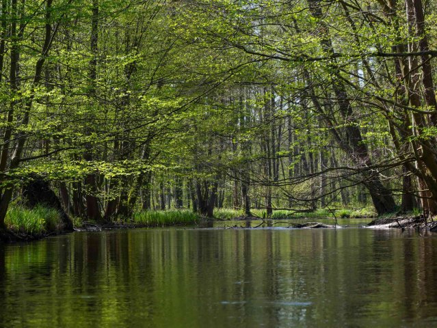Spreewald13