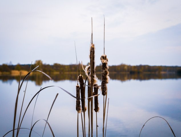 Spreewald15