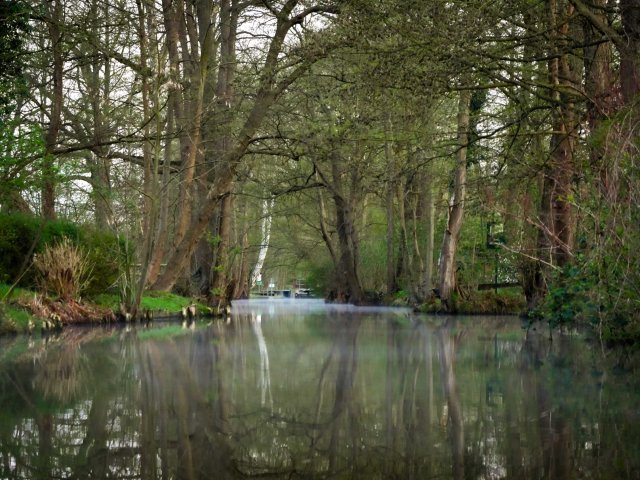Spreewald2