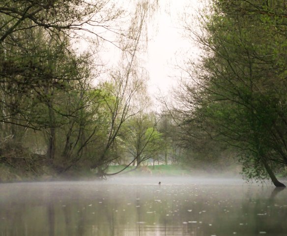 Spreewald3