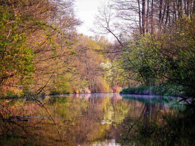 Spreewald7