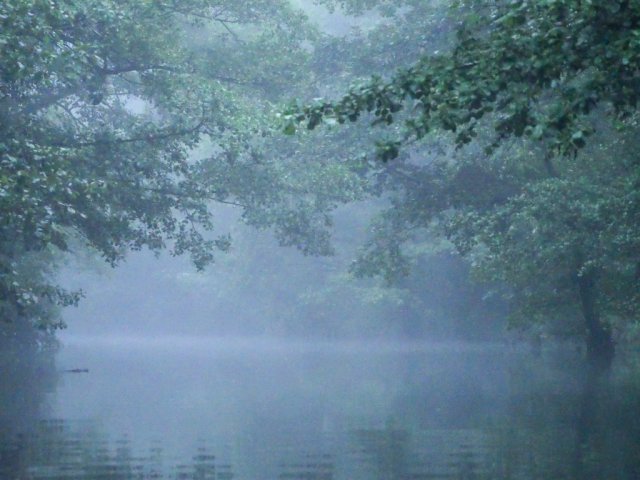Spreewald19