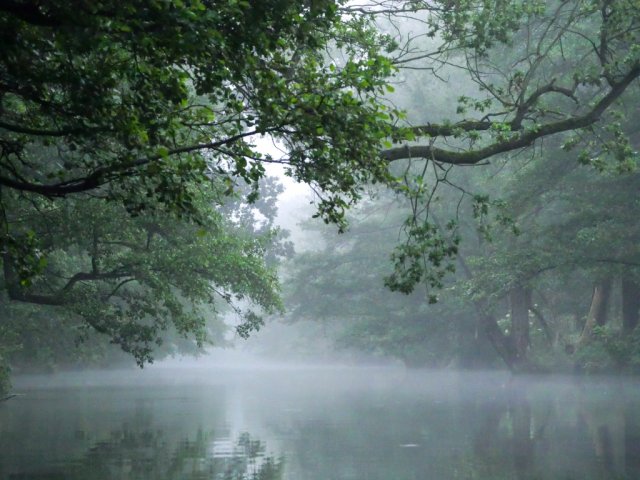 Spreewald21