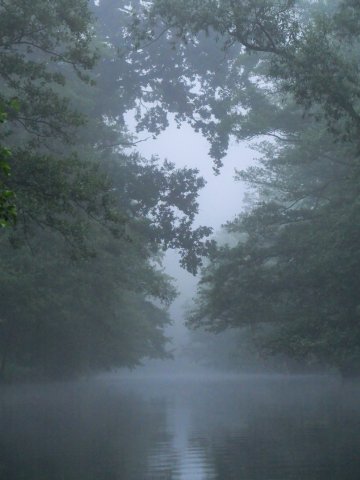 Spreewald22