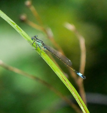 Spreewald24