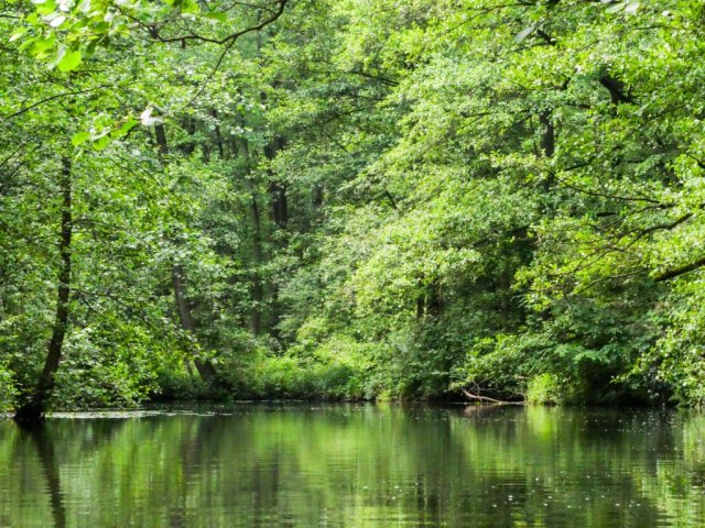 Spreewald30