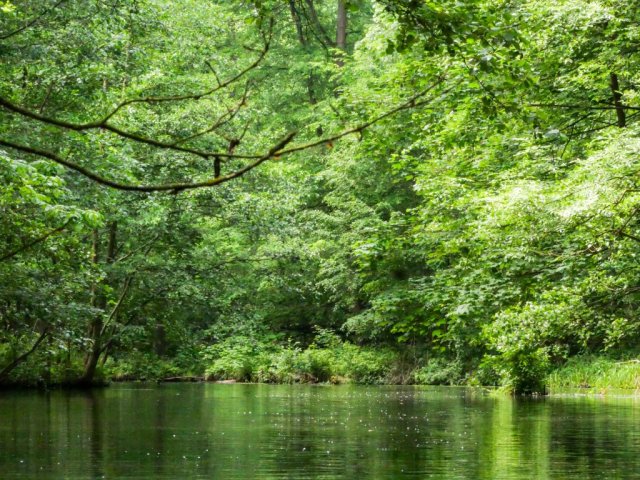 Spreewald32