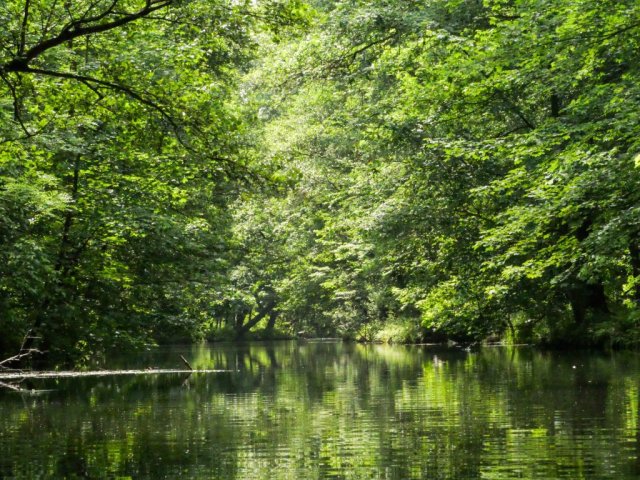 Spreewald35