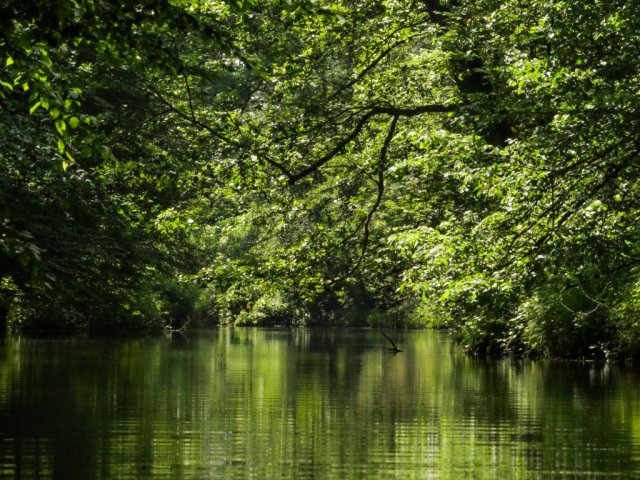 Spreewald36
