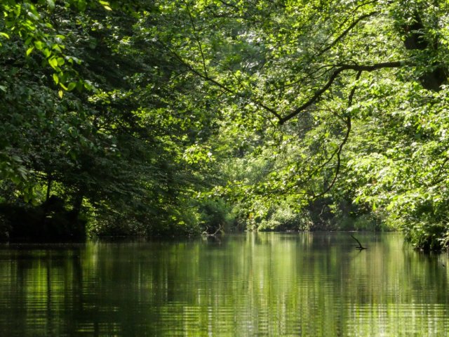 Spreewald37