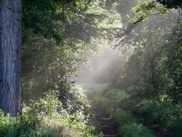 Spreewald44