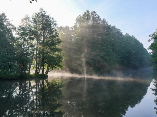 Spreewald45