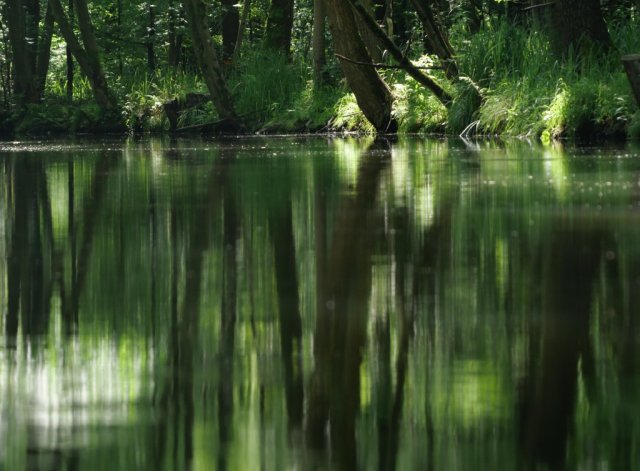 Spreewald50