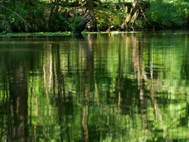 Spreewald51