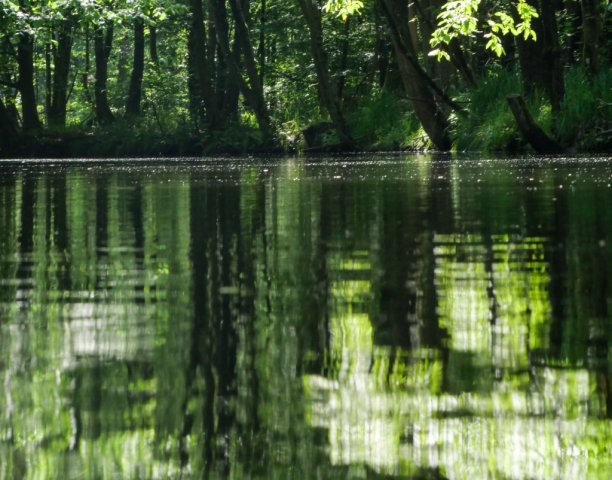 Spreewald52