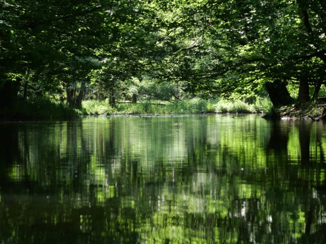 Spreewald53