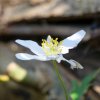 Spreewald12