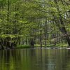 Spreewald13