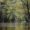 Spreewald14