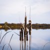 Spreewald15