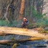 Spreewald9