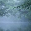 Spreewald19