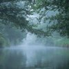 Spreewald20