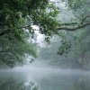 Spreewald21