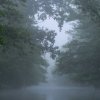 Spreewald22