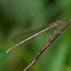 Spreewald23