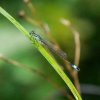 Spreewald24