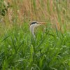 Spreewald26