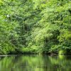 Spreewald30