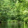 Spreewald32