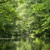 Spreewald35