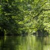 Spreewald37