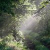 Spreewald44