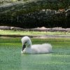 Spreewald46